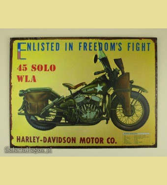 Harley Daidson 45 SOLO WLA